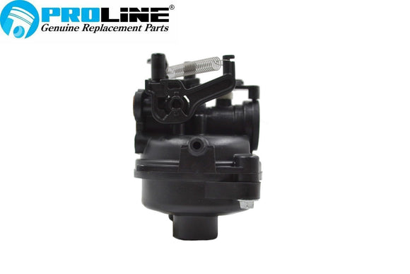Proline® Carburetor For Briggs & Stratton  799584 09P702