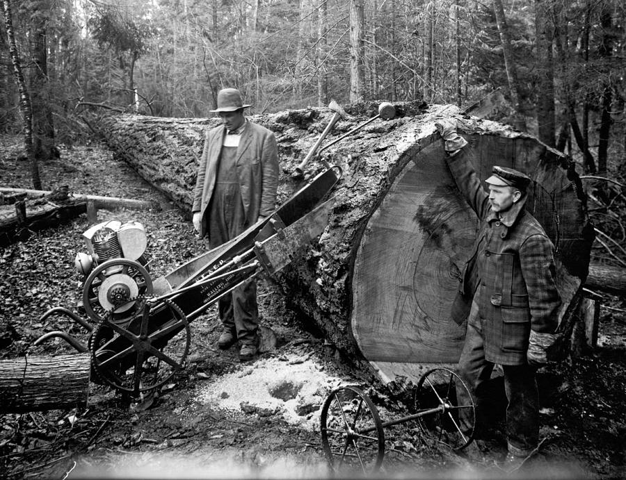 How The Chainsaw Changed The Logging Industry