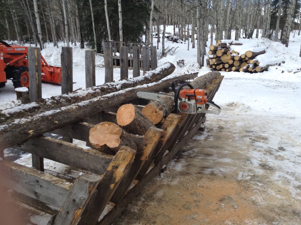 Cutting Firewood With A Chainsaw