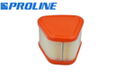 Proline® Air Filter For Briggs & Stratton 595853 597265 115P02 115P05 123P02 123P07  Clearance-1