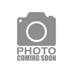 Proline® Ignition Coil For Echo PB-8010 PB-9010 Shindaiwa EB810RT EB910RT A411001870
