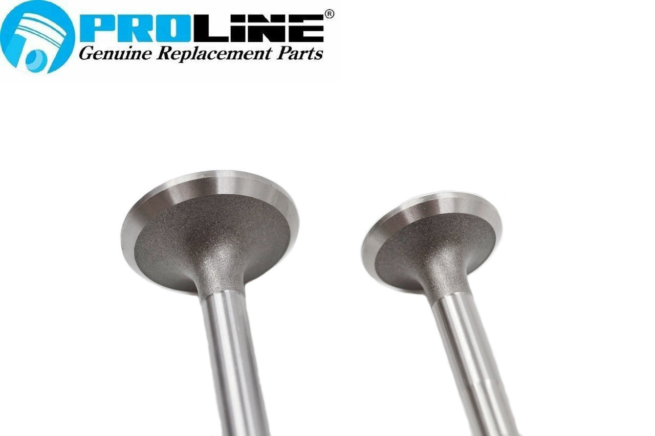 Proline® Intake & Exhaust Valve Set For Kohler K241 K301 M10 M12 ...