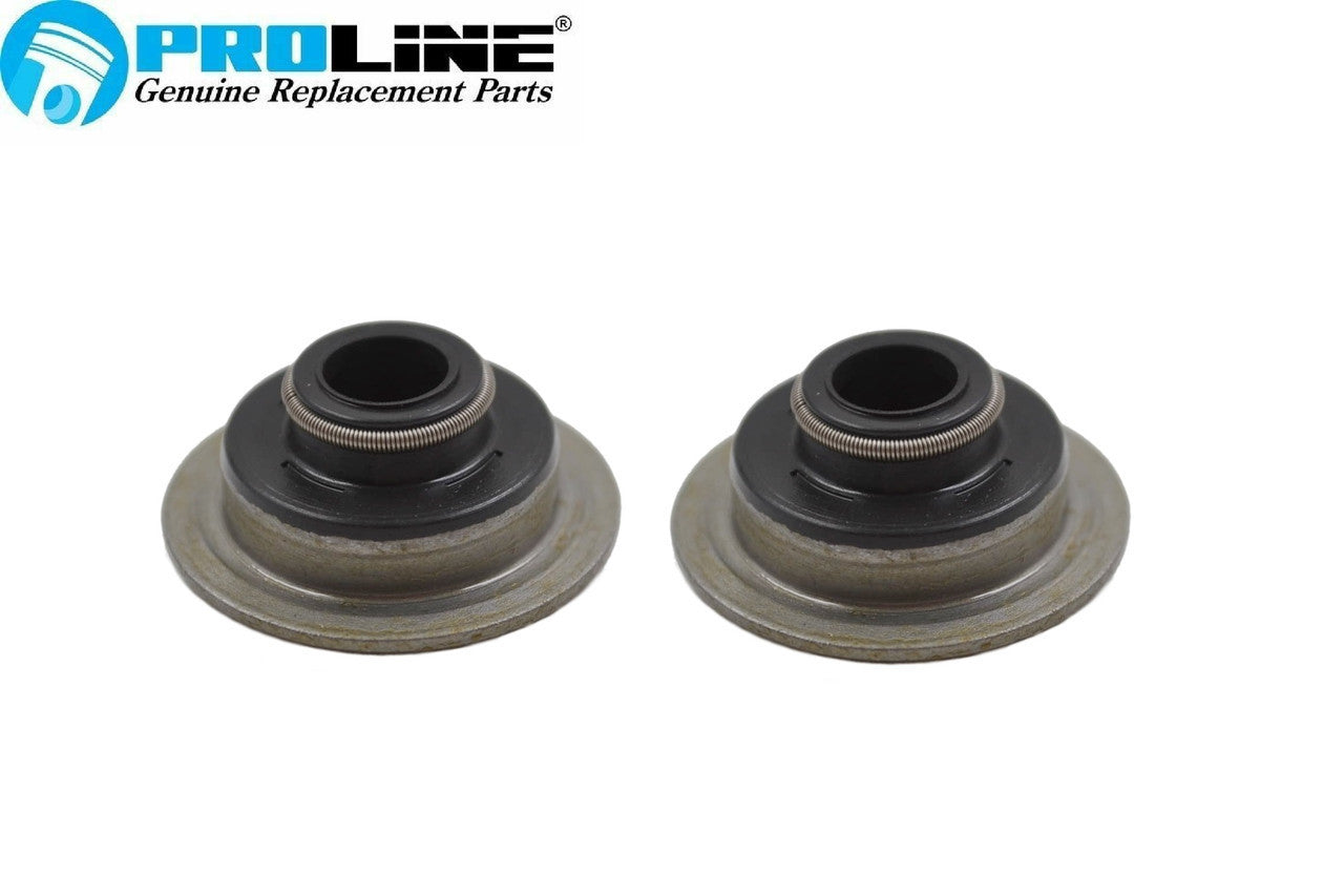 Proline Valve Seal Set For Briggs & Stratton Engines - Replaces 393606, 497212, 692324